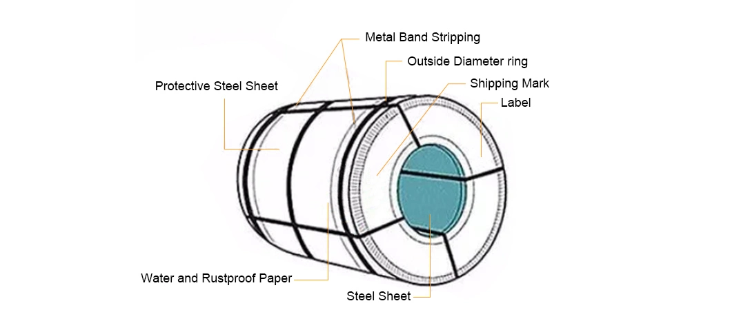 Cold Rolled/Hot Rolled 0.1mm-4mm AISI SUS 201 304 316L 310S 409L 420 904 Stainless Steel Galvanized/Carbon/Alzinc/Steel Coil 2b/Ba/8K Building Materials Metal