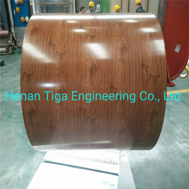 ASTM A795 Colour Coated Pre Galvanized Steel Coil PPGI PPGL